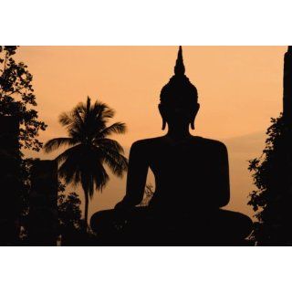  AU1063 Buddha Silhouette, Dekowall 254 x 366 cm Baumarkt