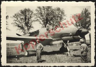 TOP FOTO  Dornier Do 335 Pfeil JAGDBOMBER 1945 