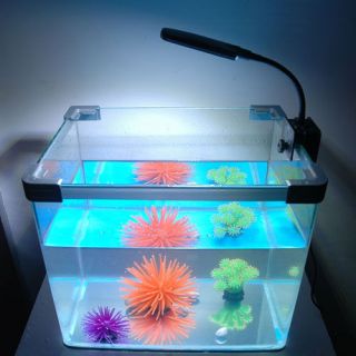 28 LED Weiße Blaue Mondlichte Aquarium Lampe Belechtung Fische Licht