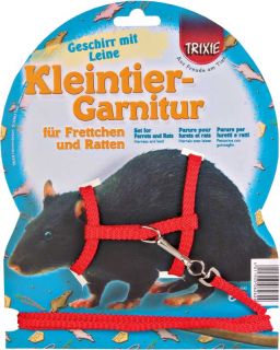 Rattengeschirr Garnitur Geschirr für Ratten / Frettchen