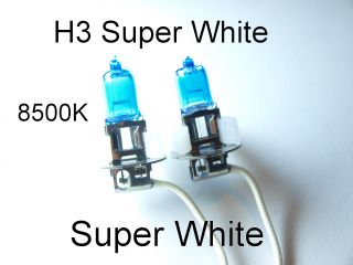 H1 H3 H4 H7 Xenon Look Autolampen 8500K XXL 55W Super White Birnen wie