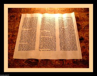 THORA auf Kalbs Haut,Handschrift,Ben Esra Synagoge, um1500 