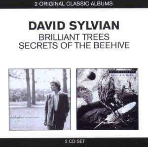 DAVID SYLVIAN   CLASSIC ALBUMS (2IN1)   2CD VIRGIN BUDG