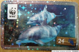NR. 24 Gemeiner Delfin Glitzer   Sammelbild ~ REWE WWF