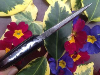 Damast messer jagdmesser HUNTING KNIFE Knife (211 H)