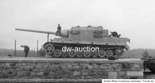 Panzer Tank Tiger von der schw. Panzer Jg. Abt. 653 TOP