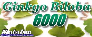 90 Tabletten Ginkgo Biloba 6000mg KOZENTRATION ginko gingo no Kapseln