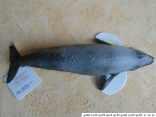 SCHLEICH GRAUWAL GREY WHALE 16082 SEETIERE ca 27 cm Lang