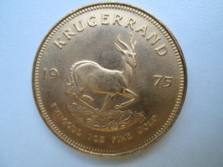 Kruegerrand 1 Unze Gold 1975 33 93 Gamm 916 6 1000 Gold TOP Zustand