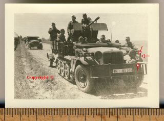 Orig. Foto Panzer Tank SD KFZ Halbkette +Kennung der Division