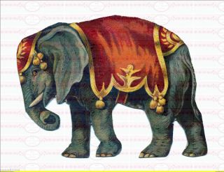Zirkus Elefant Indisch Afrikanisch A4 NO. 954 Vintage