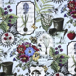 In The Beginning Botanica Botanical Drawings Blue Cotton Quilt Fabric