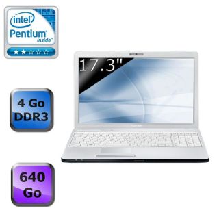 Ordinateur Portable avec écran 17,3   Processeur Intel Pentium P6200