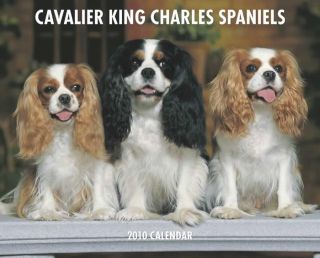 Cavalier King Charles Spaniels 2010 Calendar