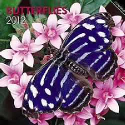 Butterflies 2012 Calendar (Calendar)