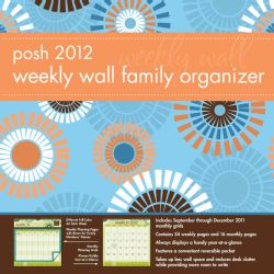 Family Organizer Graphic Sunbursts 2012 Calendar (Mixed media product