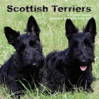 Scottish Terriers 2011 Wall Calendar