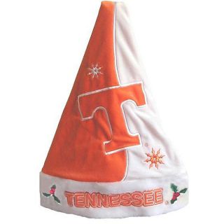 Tennessee College Themed Buy Fan Shop Online
