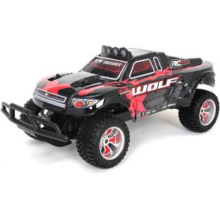 Remote Control 112 Scale Pro Wolf Flat Track Racer