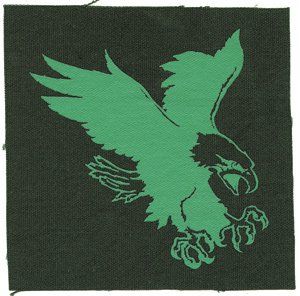 Novelty Iron On  Animals   Turquoise Eagle on Green Canvas