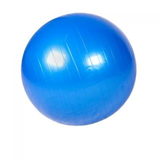 Gorilla Sports Ballon de gym 55cm   Ballon de gymnastique 55cm