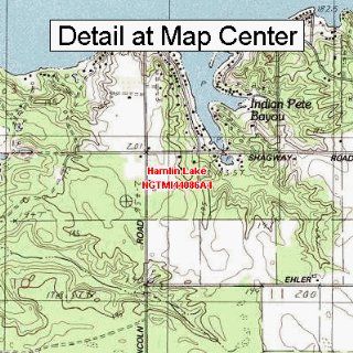 USGS Topographic Quadrangle Map   Hamlin Lake, Michigan