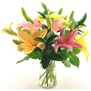Sweets in Bloom Spring Lilies Gift Bouquet