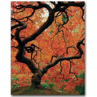 David Farley Japanese Tree I canvas art