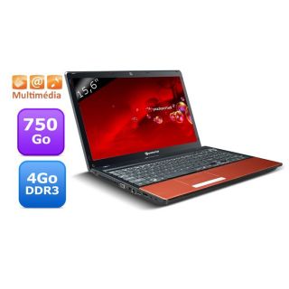 Packard Bell EasyNote TM83 SB 466FR   Achat / Vente ORDINATEUR