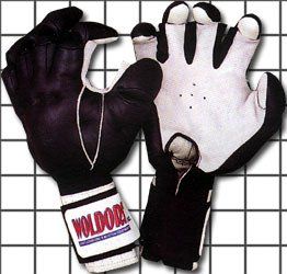 Kenpo Gloves Large