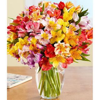 100 Blooms of Peruvian Lilies with Ginger Vase