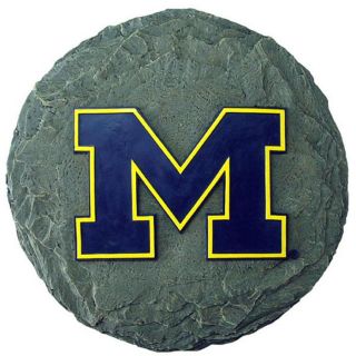 University of Michigan Stepping Stone