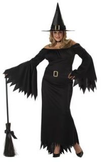 Elegant Witch Sexy Womens Plus Size Halloween Costume