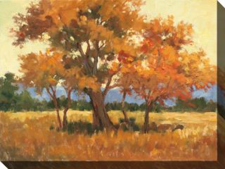 Karen Wilkerson Landscape in Gold II Canvas Art