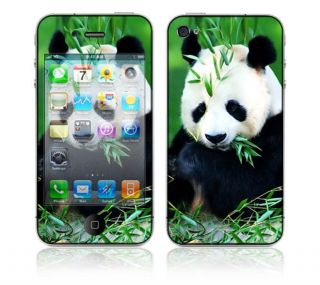 Panda Bear Apple iPhone 4 Skin