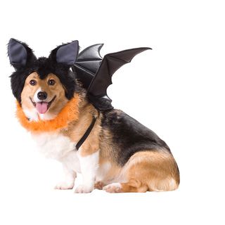 Animal Planet Bat Dog Halloween Costume