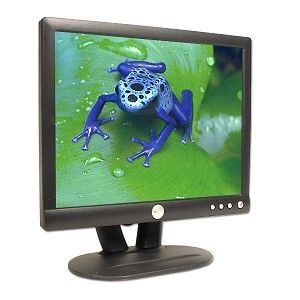 Dell E153fp 15 inch Flat Panel Color LCD Monitor