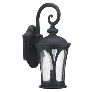 Chloe Black Transitional 1 light Outdoor Wall Light Today $48.00 Sale
