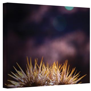 Mark Ross Obviousness Has its Advantages Wrapped Canvas Art