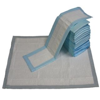 Go Pet Club 23x24 Puppy Dog Training Pads (Case of 300) Today $79.99