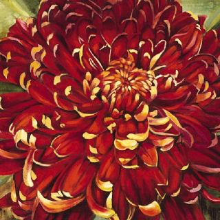 Selina Werbelow Chrysanthemum, 2006 Canvas Art