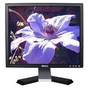 Dell E178FP 17 Flat Panel LCD Monitor Skinnie Staff
