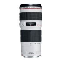 Objectif Canon EF 70 200mm f/4,0 L USM   Achat / Vente OBJECTIF REFLEX