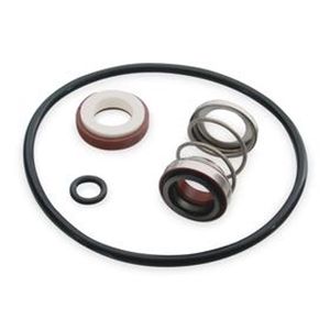 Dayton 4XZ28 Viton Seal Kit