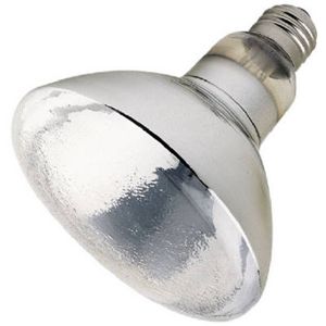 Westinghouse 04404 54 75 75W 120V Clear Outdoor Security Outdoor Light Bulb