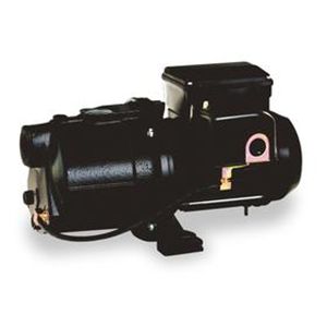 Dayton 4TB33 Pump, Shallow Well, Jet