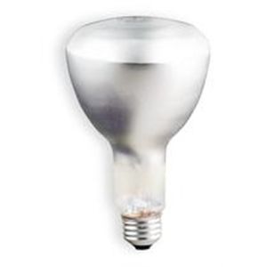GE Lighting 75ER30 Incandescent Reflector Lamp, ER30, 75W