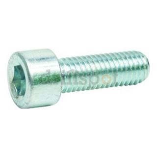 DrillSpot ZS2650040ZP0000 M12 x 40 mm Grade 8.8 Zinc Plated Socket