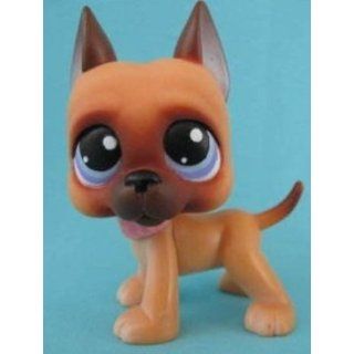 Great Dane Puppy Dog # 244 (caramel brown with blue eyes)   Littlest